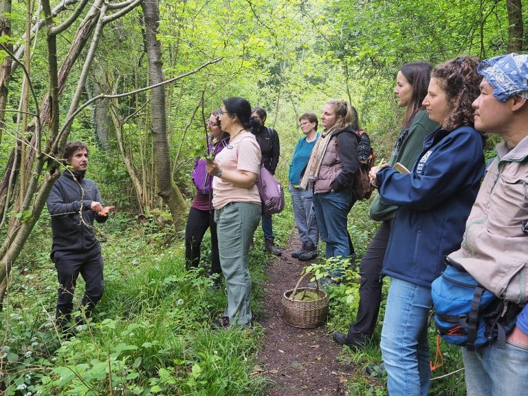 Enabling Communities To Lead The Way In Local Nature Restoration