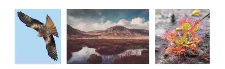 New Film First Reveals Secrets of Rarely Seen Dumfries and Galloway Wilderness