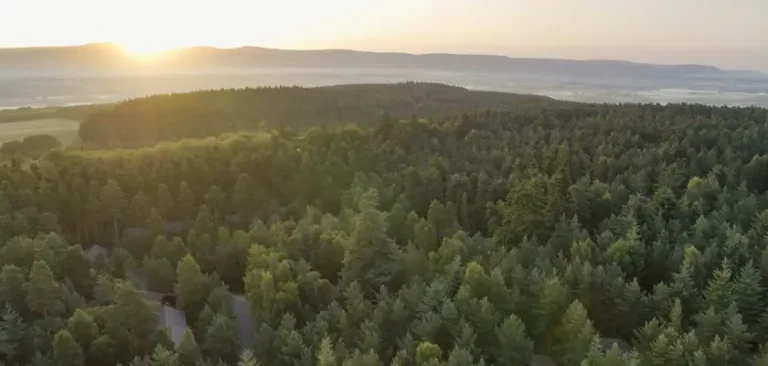 Center Parcs Announces New South Of Scotland Village
