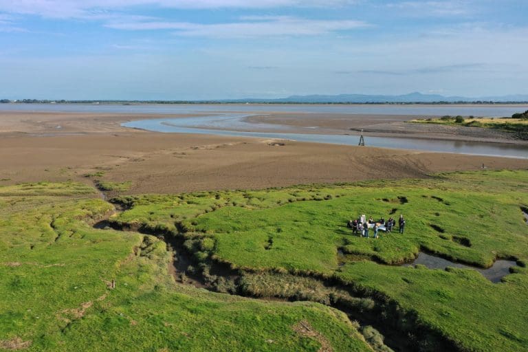 Get Wild this Winter with Free Nature Events Across the Region