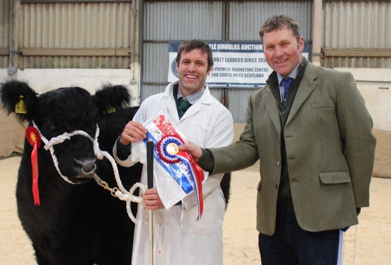 27000gns For Swagger of Glenrath New Galloway Bull World Record Price