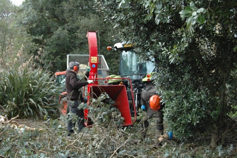 Clear-up Underway at Logan Botanic Garden 