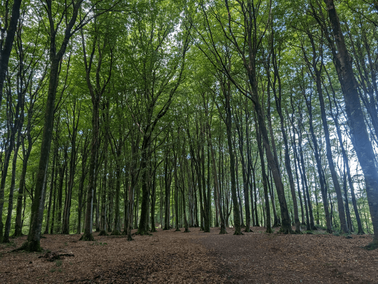 Community Group to launch citizen science nature project in The Machars