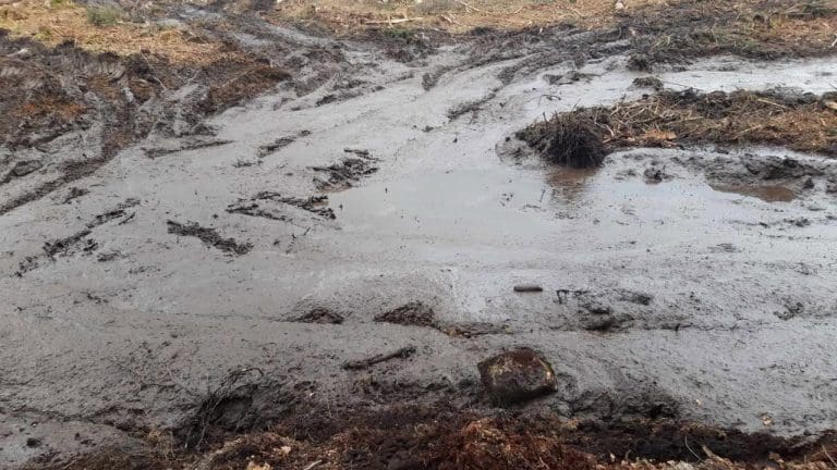 Locals Concerned By Damage To Community Footpath