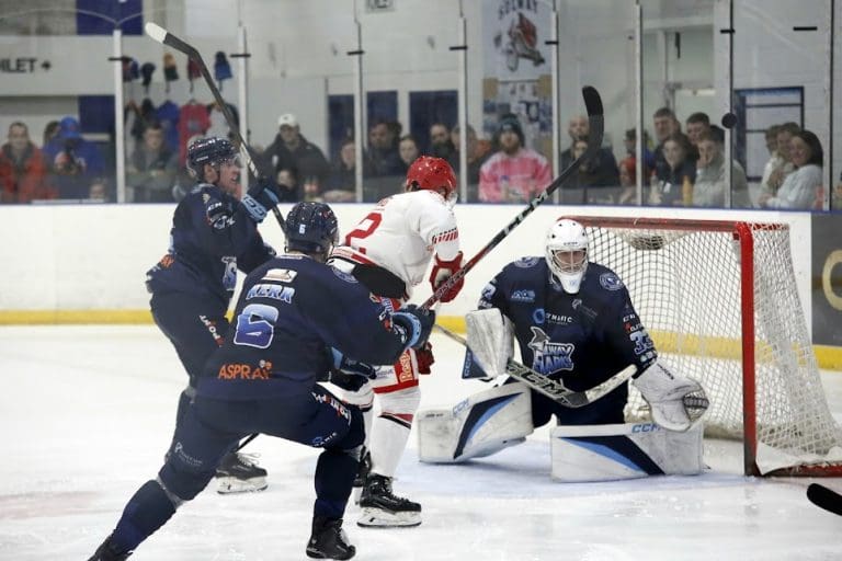Wildcats and Seahawks outshine Sharks