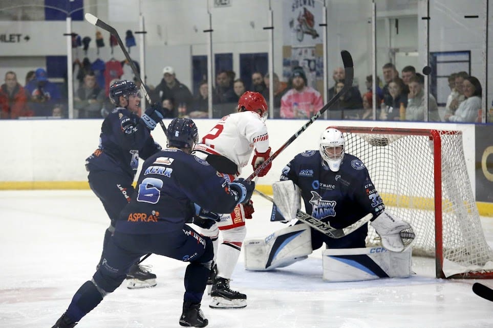 Wildcats and Seahawks outshine Sharks