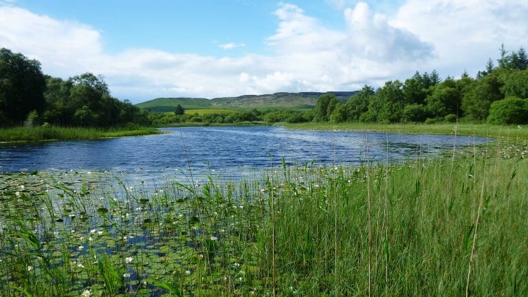 South of Scotland Enterprise confirms funding for UNESCO Biosphere