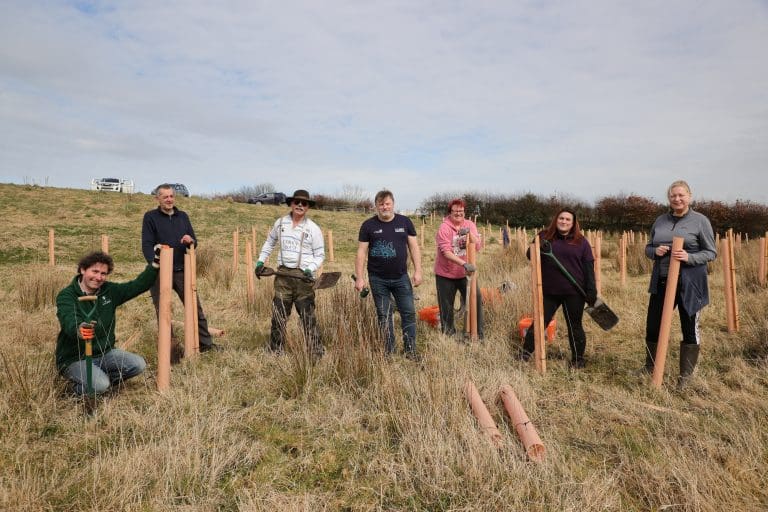 Dumfries & Galloway Tree Planting Grant Scheme supports 73 projects across the region