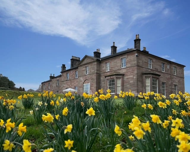 Dabton House Announces an Exciting Lineup of Events for Summer 2025