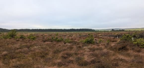 Forestry and Land Scotland (FLS) Hold Knock of Luce management plan review