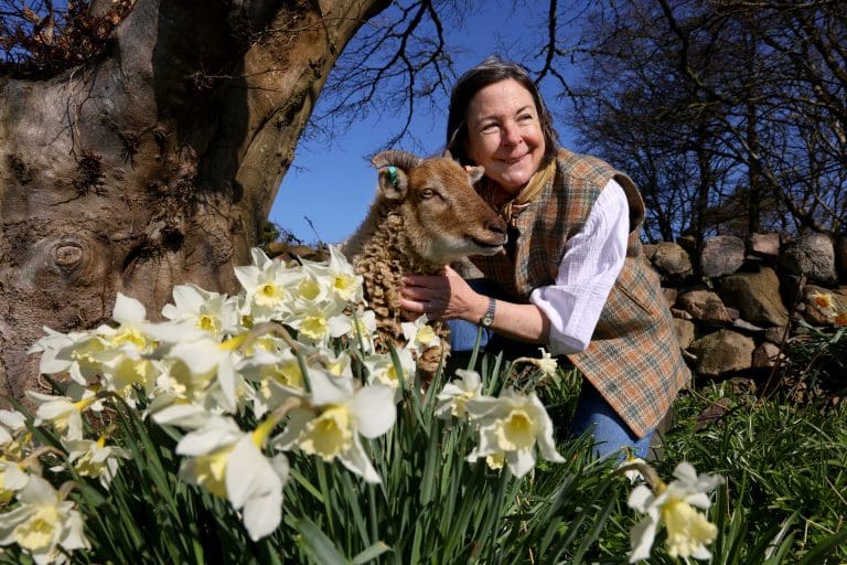 One Woman’s Quest to Save Rare Sheep Breed