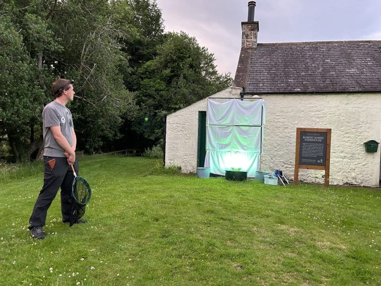 'Tae a Moth' Rare Moths Found at Ellisland Farm