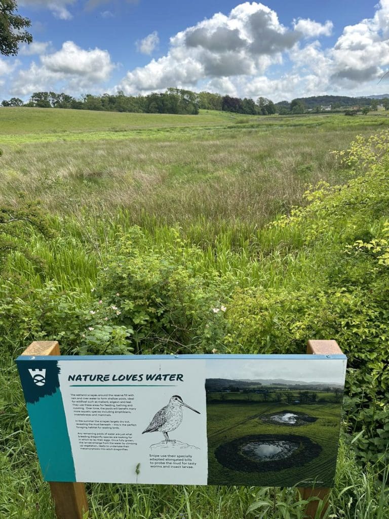 Record Levels Of Peatland Restored