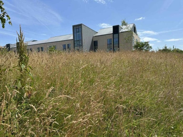 Financial Pressures See Grounds Maintenance Scaled Back at Local NHS Sites