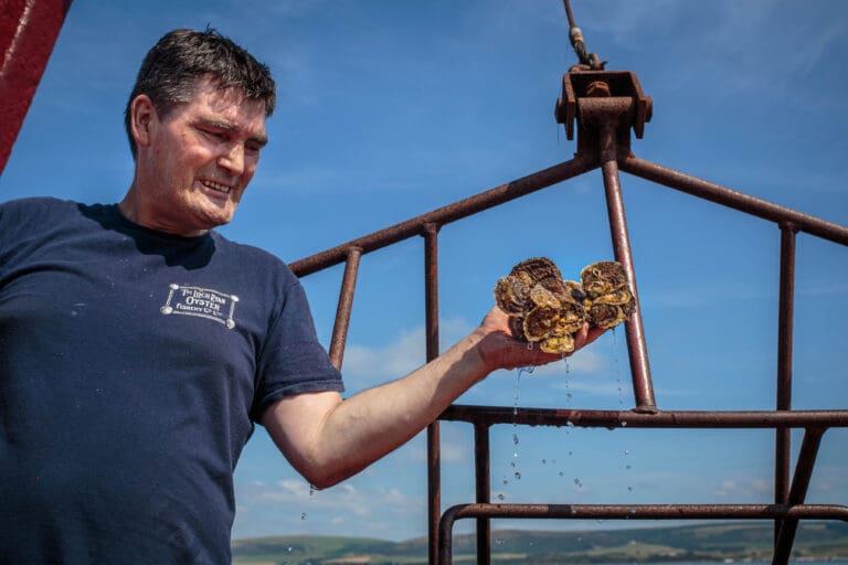 Stranraer Oyster Festival Launches Marine Science Programme