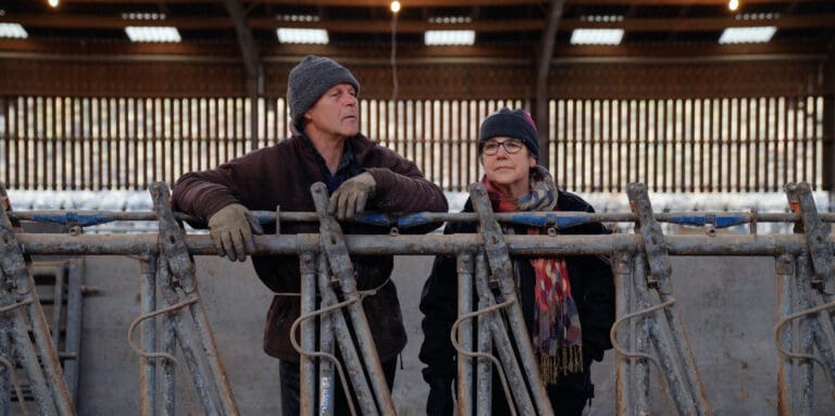 Gatehouse Cow-with-Calf Dairy Documentary UK Premiere at Central Scotland Documentary Festival