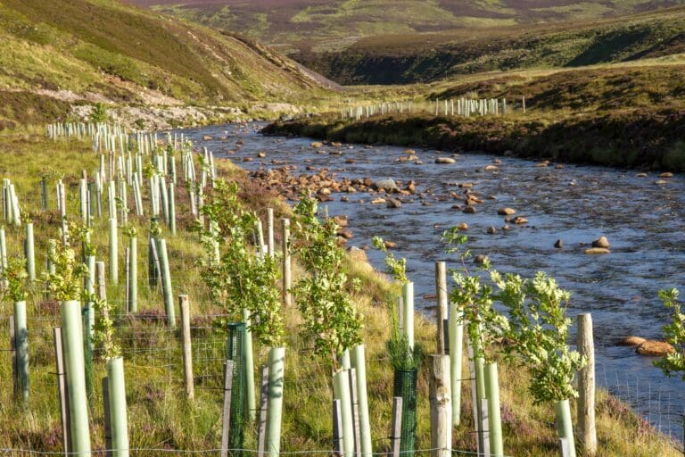 Riverwoods Development Grants Awarded in Dumfries and Galloway
