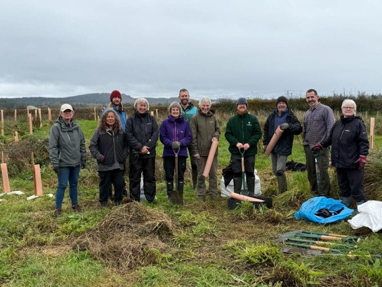 Dalbeattie Community Plants New Woodland to Help Hedgehogs Thrive