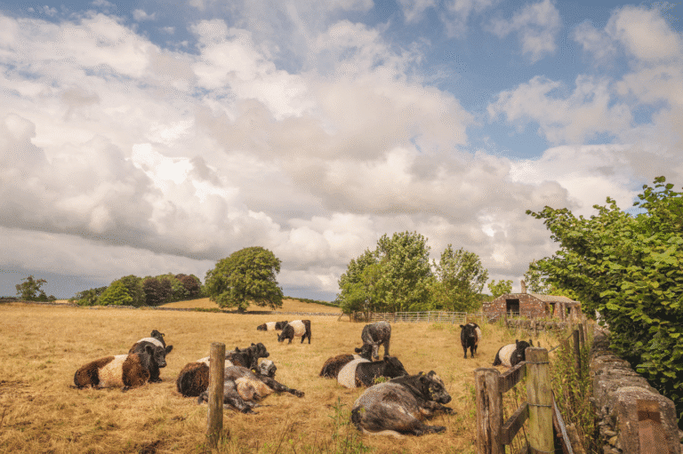 Farming for the Future Conference