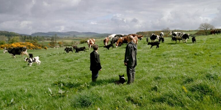 Galloway farming documentary success at IndieCork Film Festival   