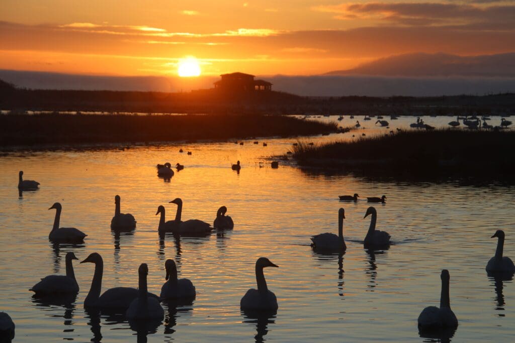 Caerlaverock visits for D&G people with dementia