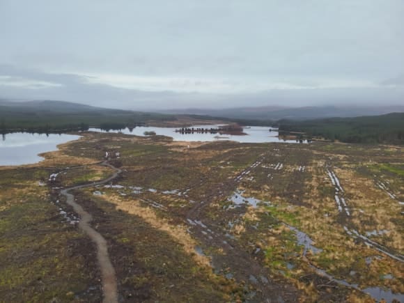 FLS & Galloway Fisheries Trust Collaboration A Boost For Fish Habitats & Water Quality
