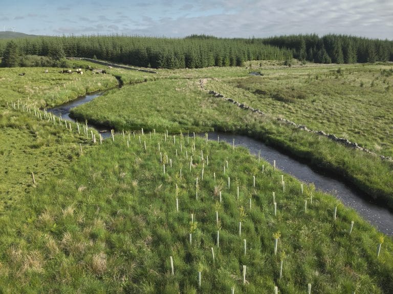 £80,000 Windfall For Local Community Projects In Dumfries & Galloway