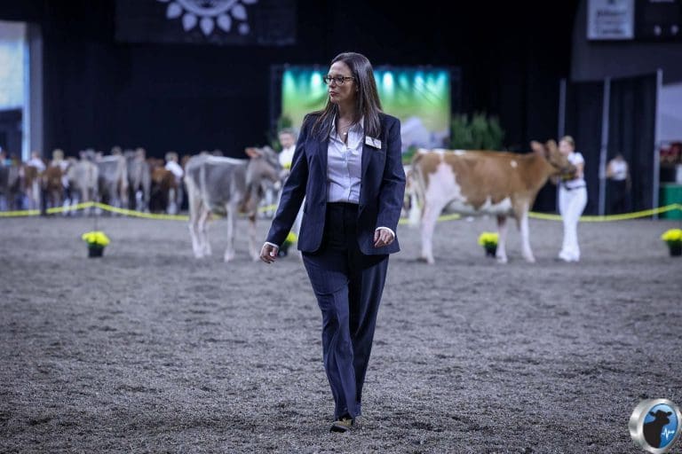 UK Dairy Expo 2026 Attracts Top International Judges to Borderway