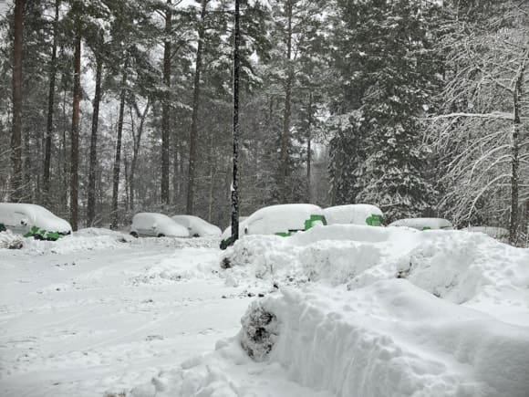 Forestry and Land Scotland (FLS) calls for caution as winter freeze lingers