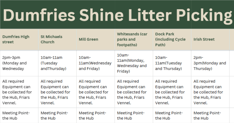 Dumfries SHINE Initiative to Support Northern Lights Event 2026