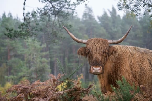 FLS Publicises 17 Sites Open To New Entrants To Farming