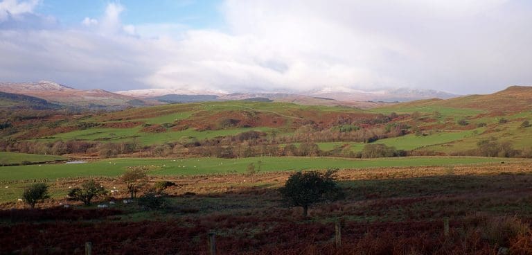 Rural Debate: Party Representatives Set To Assemble For Countryside Hustings