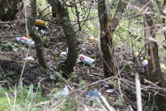 Millions admit to littering as new research is published