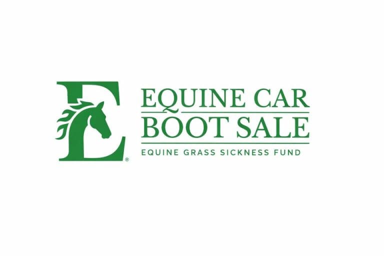 Mad about Horses? Then Come To Charity Equine Car Boot Sale On Friday Night