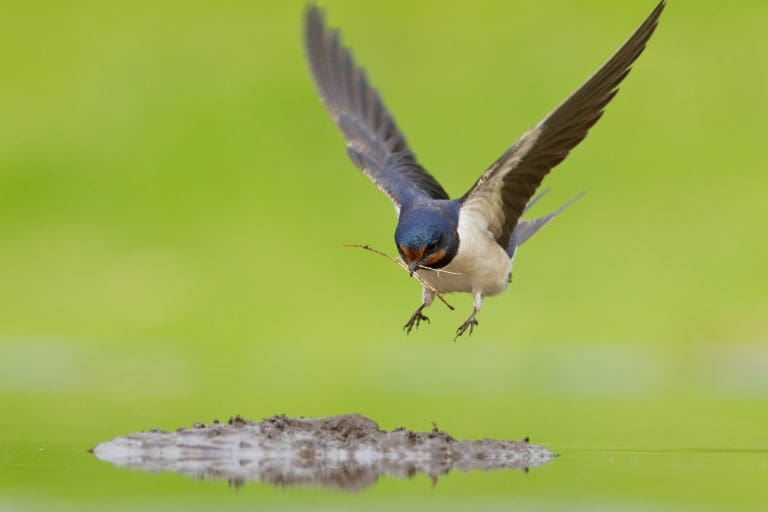 Nature writing competition calls for stories that highlight changing seasons