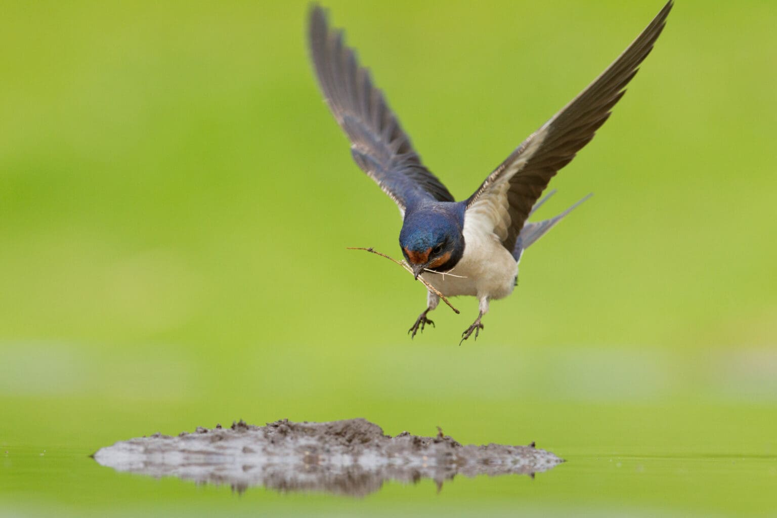 Nature writing competition calls for stories that highlight changing seasons