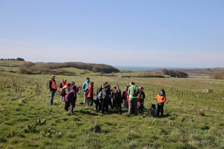 Twynholm Primary Pupils Spend A Morning At Knocktall Wood, Near Borgue