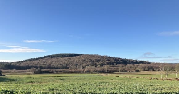 Views Sought On Plans For Dalbeattie Forest
