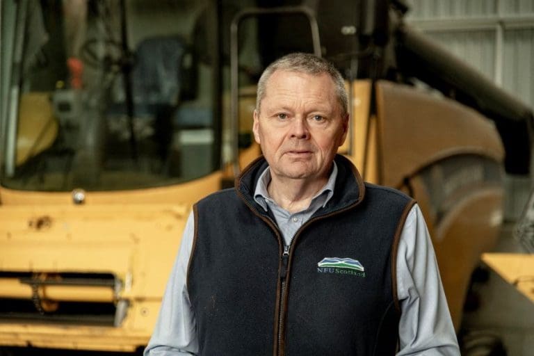 Cattle Prices Risk Undermining Fragile Recovery In Scottish Beef Sector