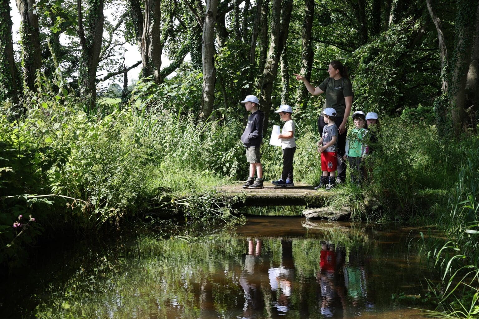 Dumfries & Galloway Woodlands