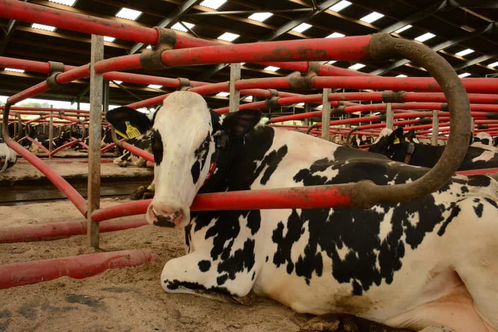NFU SCOTLAND AND SCOTTISH WHOLESALE ASSOCIATION BRING SUPPLY CHAIN TOGETHER TO BOOST SCOTTISH SOURCING 